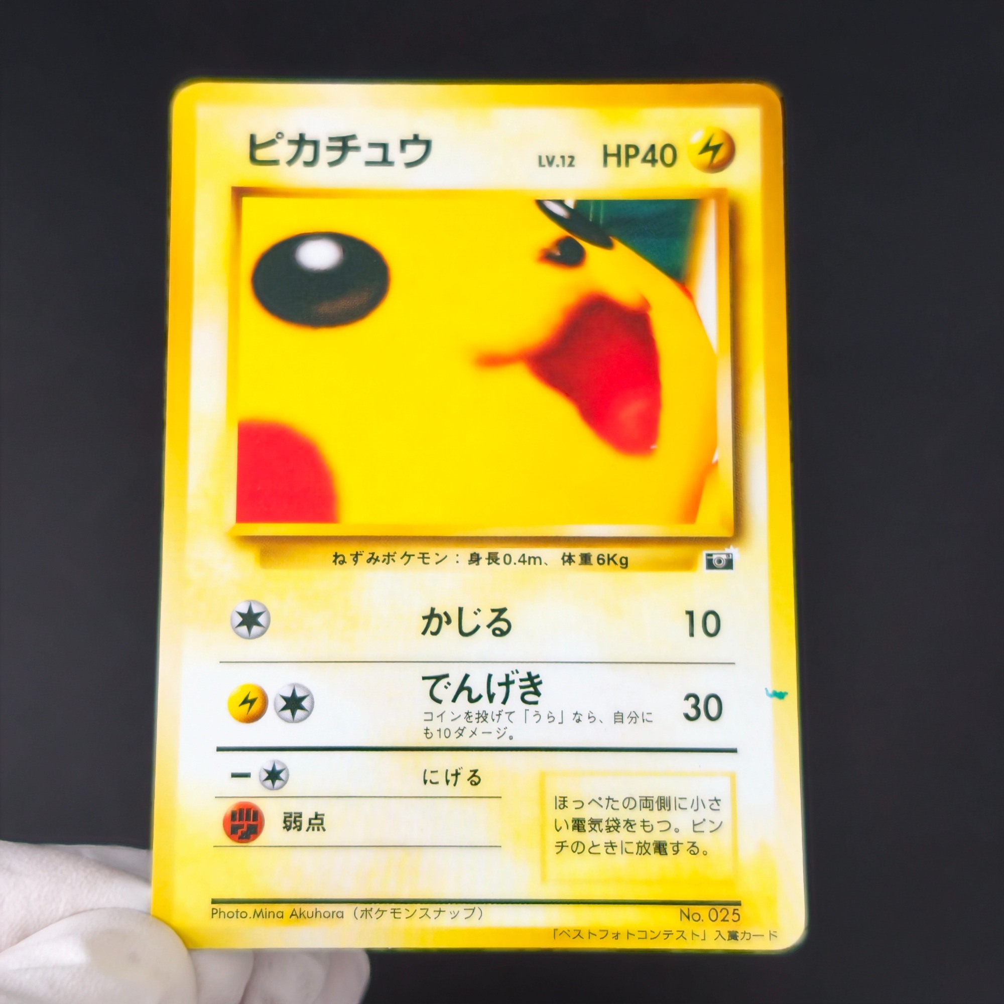 10 個ポケモンヴィンテージボーイフシギダネヒトカゲゼニガメ - Vintage Pokemon Collectible のレビューと価格